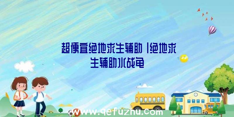 「超便宜绝地求生辅助」|绝地求生辅助水战龟